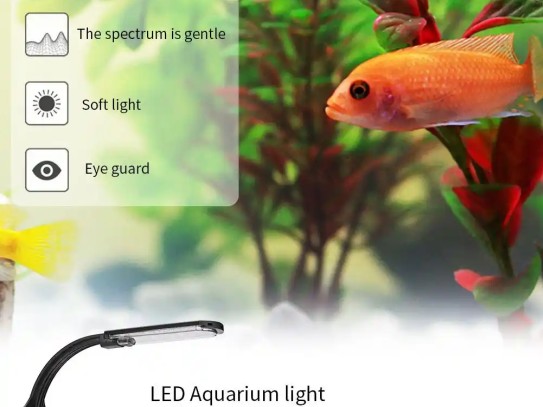  "The Ultimate Guide to Fish Attracting Light: Enhance Your Night Fishing Experience"